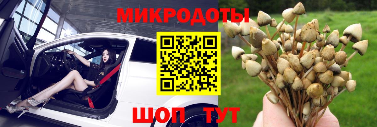 Псилоцибиновые грибы ЛСД Киреевск