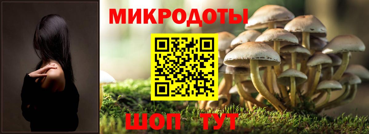 Киреевск  Псилоцибиновые грибы мицелий  Псилоцибиновые грибы MAGIC MUSHROOMS  Вход с VPN 